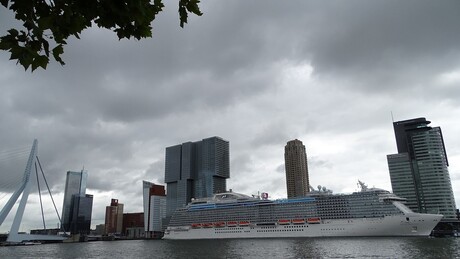 Rotterdam, KopvanZuid, msRoyalPrincess