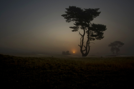 ochtend op de heide