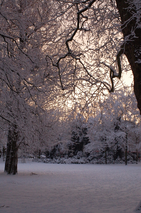 Kenau Park