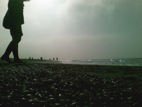 strand en schelpen