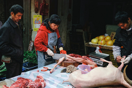 Slager in Guangzhou, China