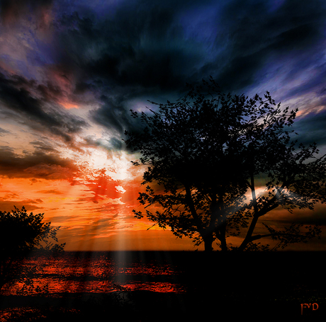 sunset trees.jpg