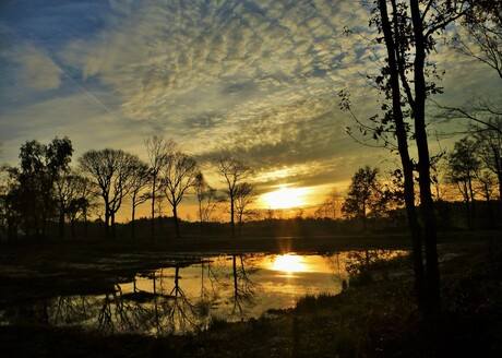 Ven in avondzon