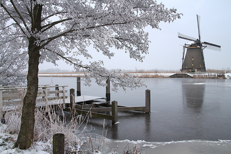 Winter in Kinderdijk