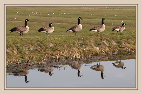 Voorwaarts.......mars!