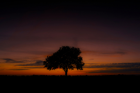 Lonely at Dusk II