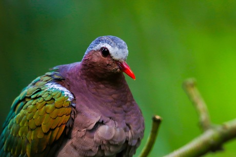 0B9A978E-1E6B-4460-81E5-7E7D14282748