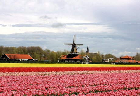 Hollands landschap