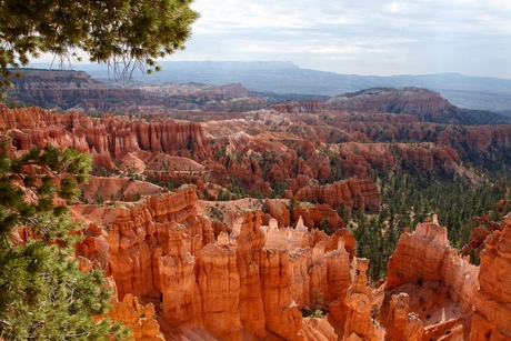 Brice Canyon National Park, Utah USA