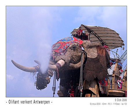 Olifant bezoekt Antwerpen