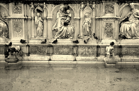 Siena: Fontana di Gioia