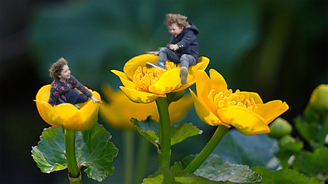 Playing in flowers