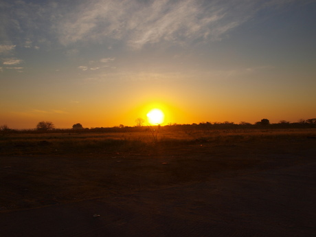 sunrise @ savanne