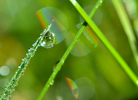 Twinkel rainbow Bokeh