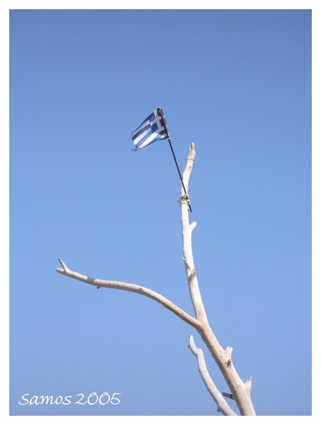 Vlag en wimpel