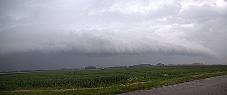 Rolwolk