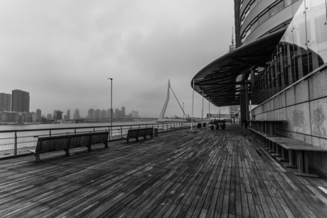 **** Rotterdam