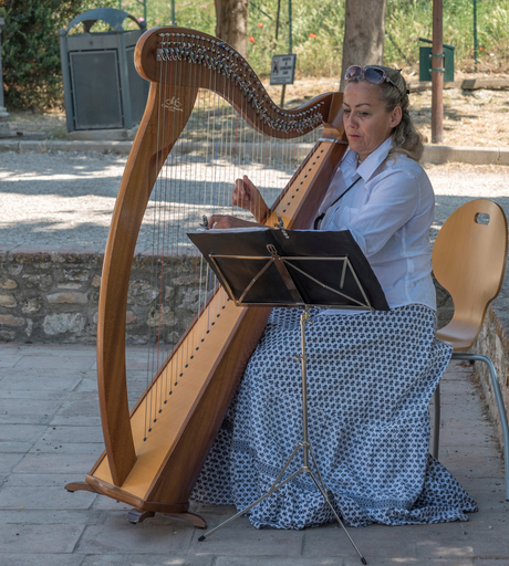 Vrouw met harp