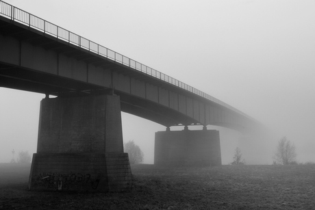 Under the bridge