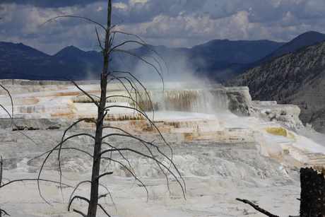 Yellowstone