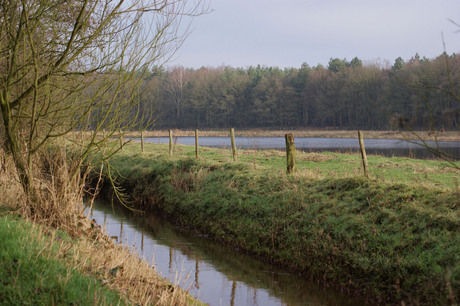 Winterlandschap in Nederland