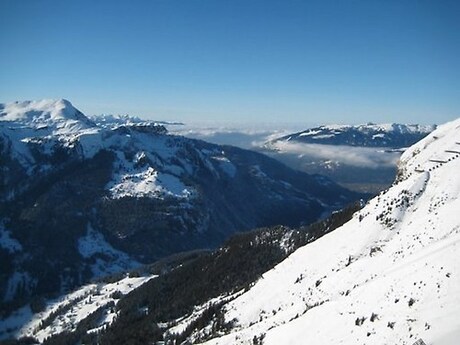 Grindelwald