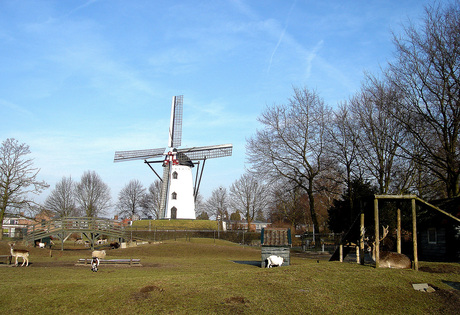 Kinderboerderij