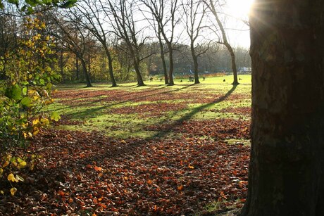 Autumn day