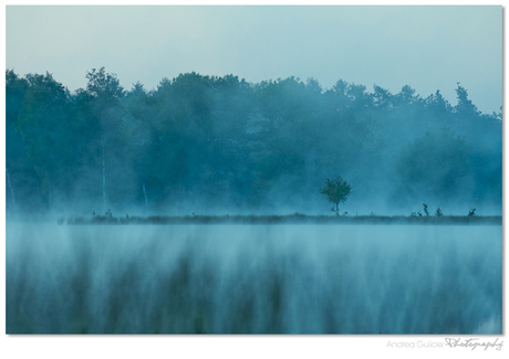 Mystic morning