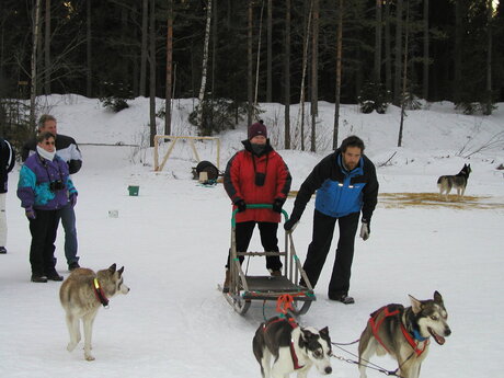 Husky Safari