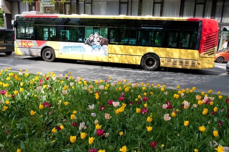 bus en bloemen