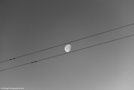 Maan afdaalt tussen de kabels.