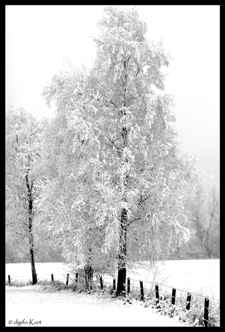 Toch een witte kerst?