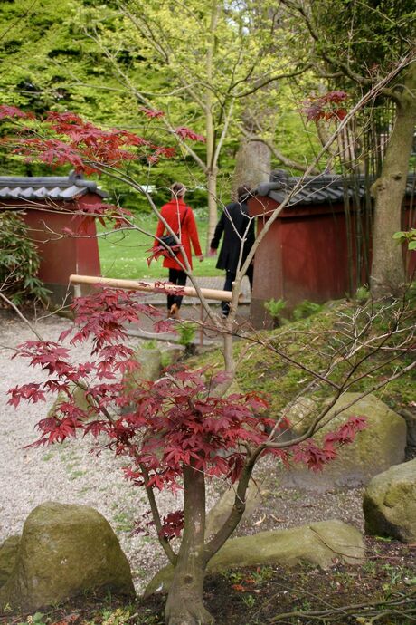 Het meisje met de rode jas in de japanse tuin