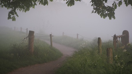 dromerig