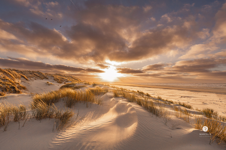 Magisch oerd Ameland 