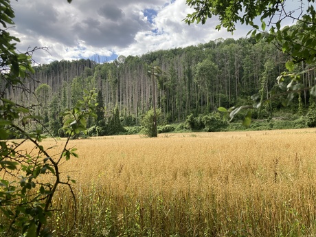 Onderbij Durbuy
