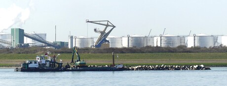 P1270256  Maassluis West Het Scheur ,  golfbreker dam  aanleggen 20 mrt 2025 