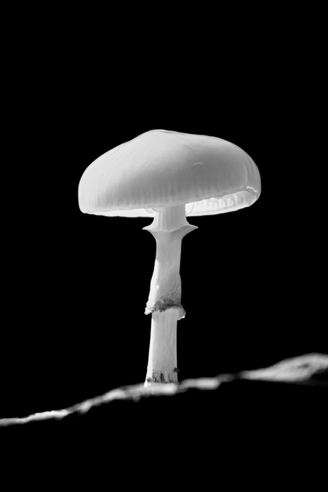 The world aint black and white