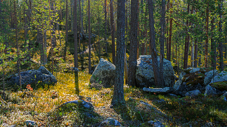 Finse Herfst