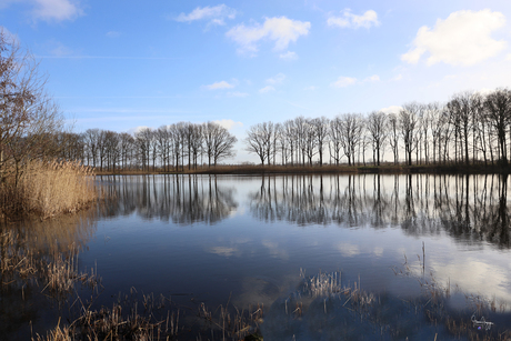 Weerspiegeling 