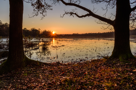 Zonsondergang Leersume veld