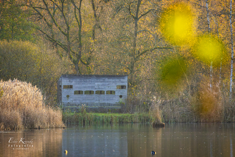 Vogelkijkwand in herfstkleuren