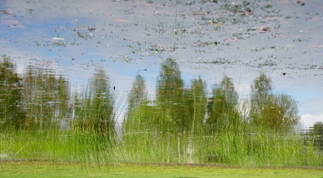 De wereld op zijn kop...
