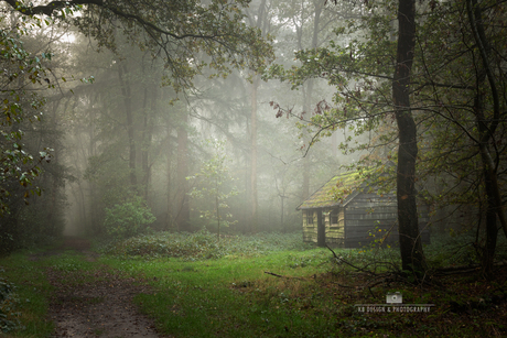 Huisje in het bos