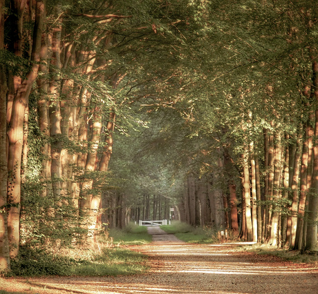 Herfst is in aantocht 