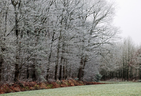 Winterlandschap 