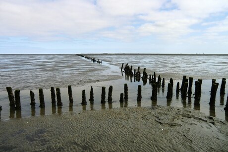 Lijnen op het wad
