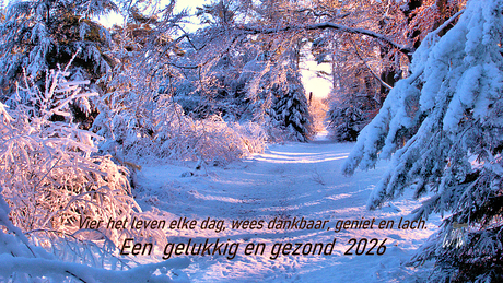 Kerst/nieuwjaarswens