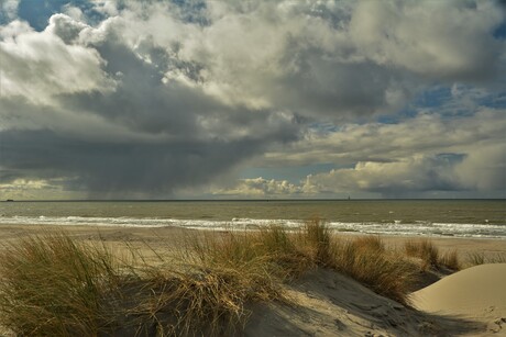 Vanaf de jonge duinen op Zandmotor